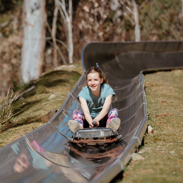 Picture of Alpine Slide Single Rider (age 8+)