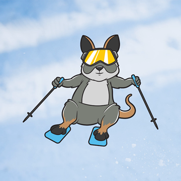 Picture of Wallaby Ski Lesson (Ages 8-12)