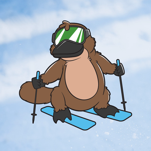Picture of Platypus Ski Lesson (Ages 6-16)