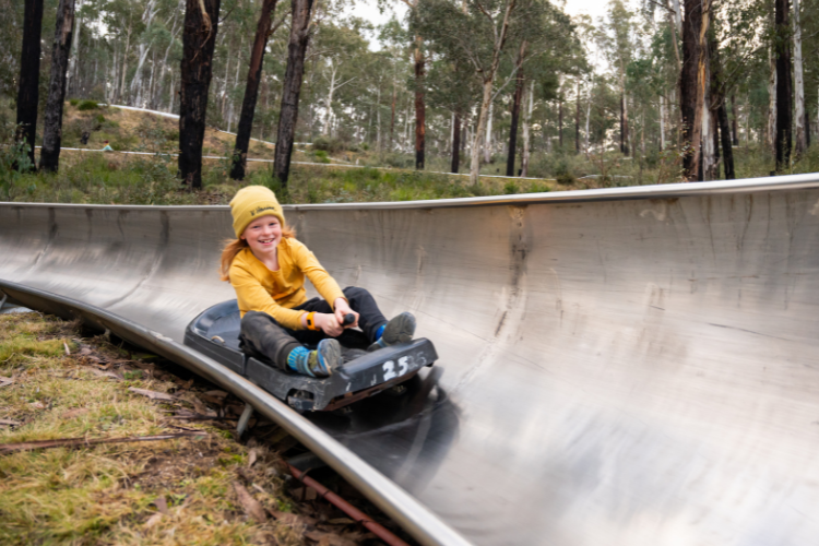 Picture for category Alpine Slide