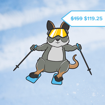 Picture of Wallaby Ski Lesson (Ages 8-12)