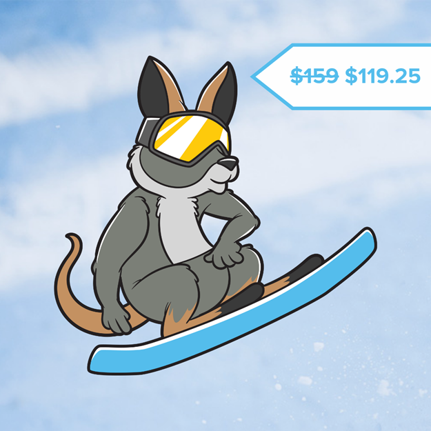 Picture of Wallaby Snowboard Lesson (Ages 6-12)