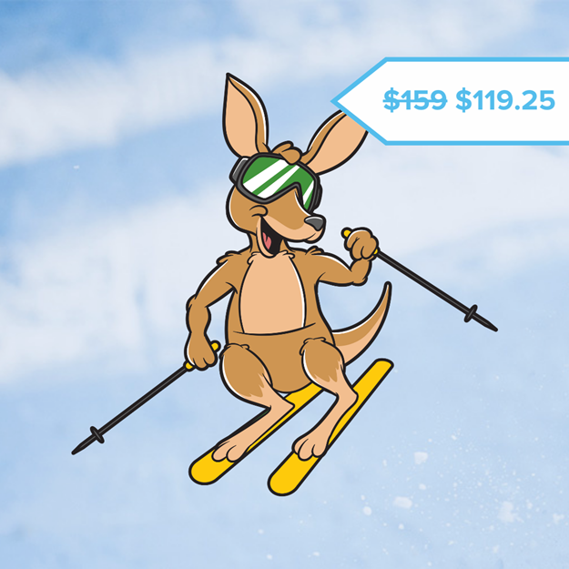 Picture of Kangaroo Ski Lesson (Ages 13+)