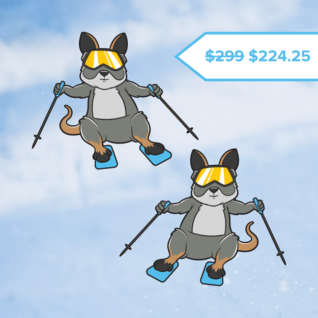 Picture of Weekend Wallaby Ski Lesson (Ages 8 - 12)