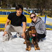 Picture of Snow Dogs