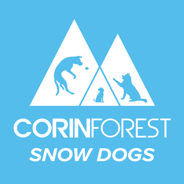Picture of Snow Dogs